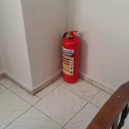Tunc * Ayvalı